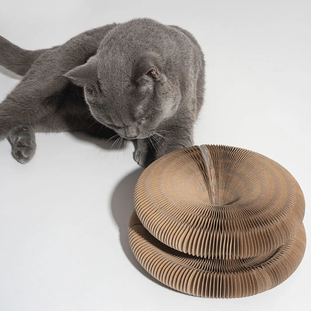 Tidy Claws™  Cat Magic Scratcher With Ball